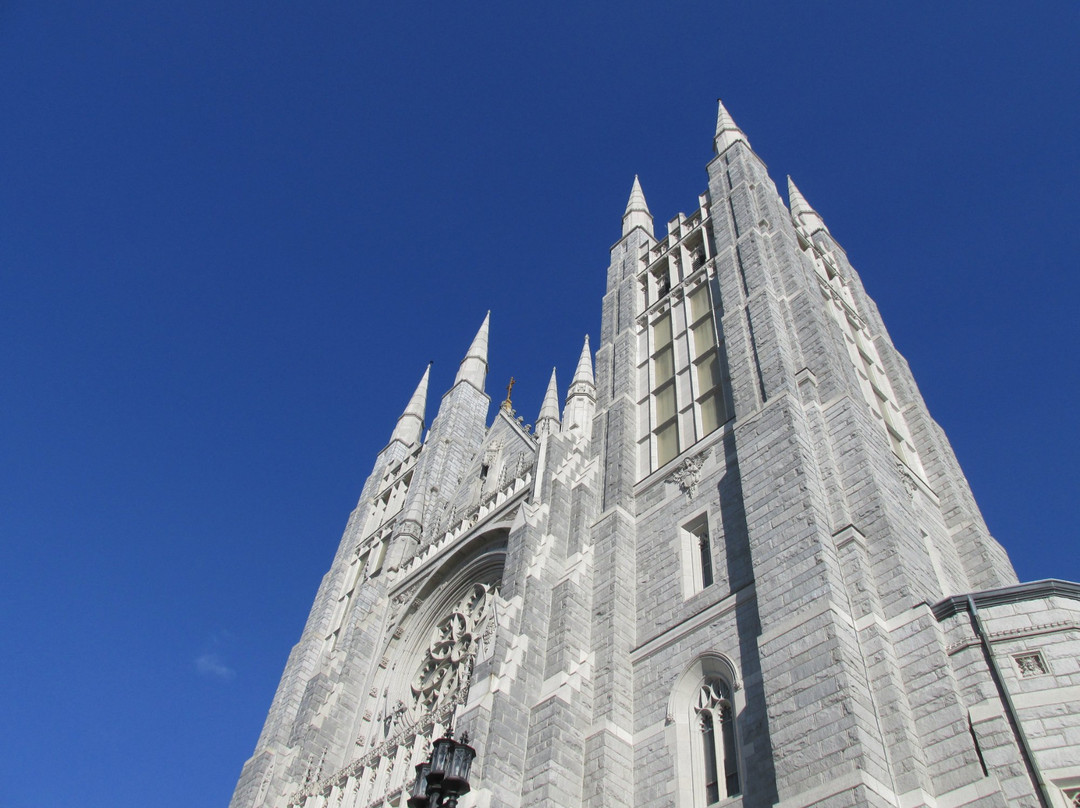 Basilica of Saints Peter & Paul景点图片