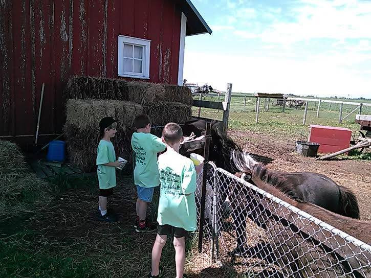Wessels Living History Farm-York必去景点
