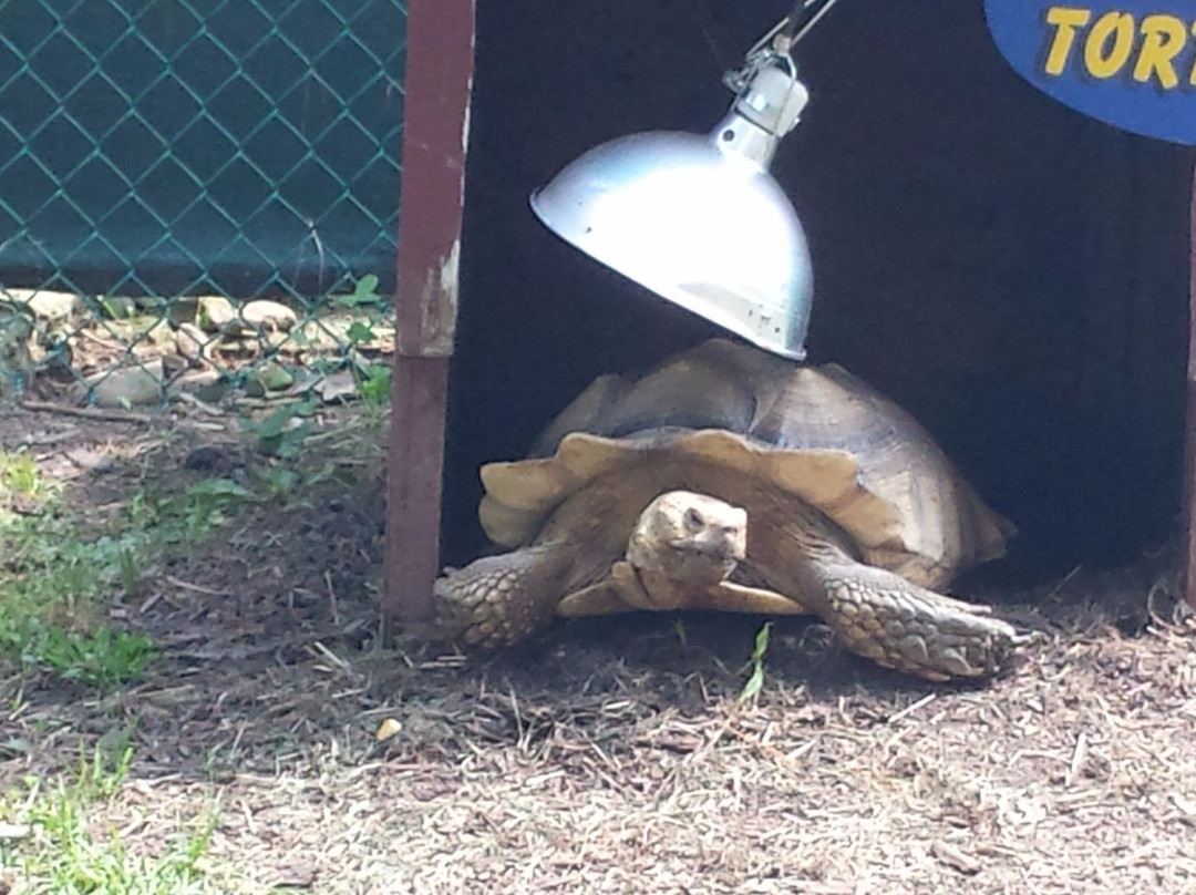 The Farmer's Inn-Sigel必去景点