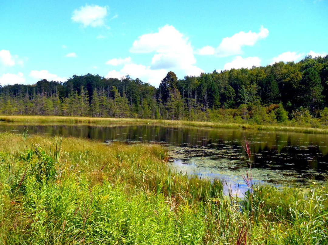 Paul Bunyan State Trail-Brainerd必去景点