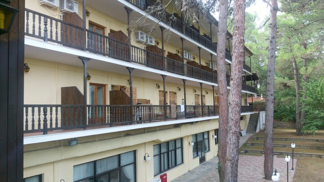 Milionis Forest Hotel主图