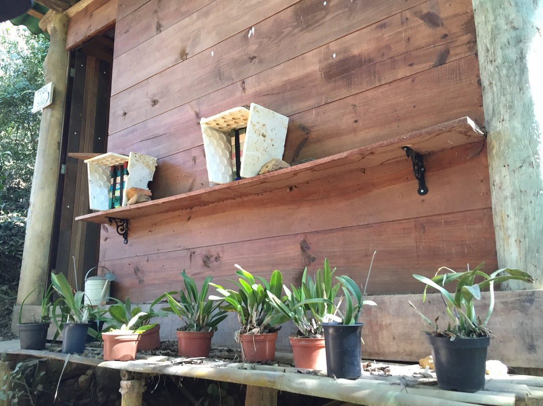 Casa da Mata-圣安东尼奥杜皮尼亚尔必去景点