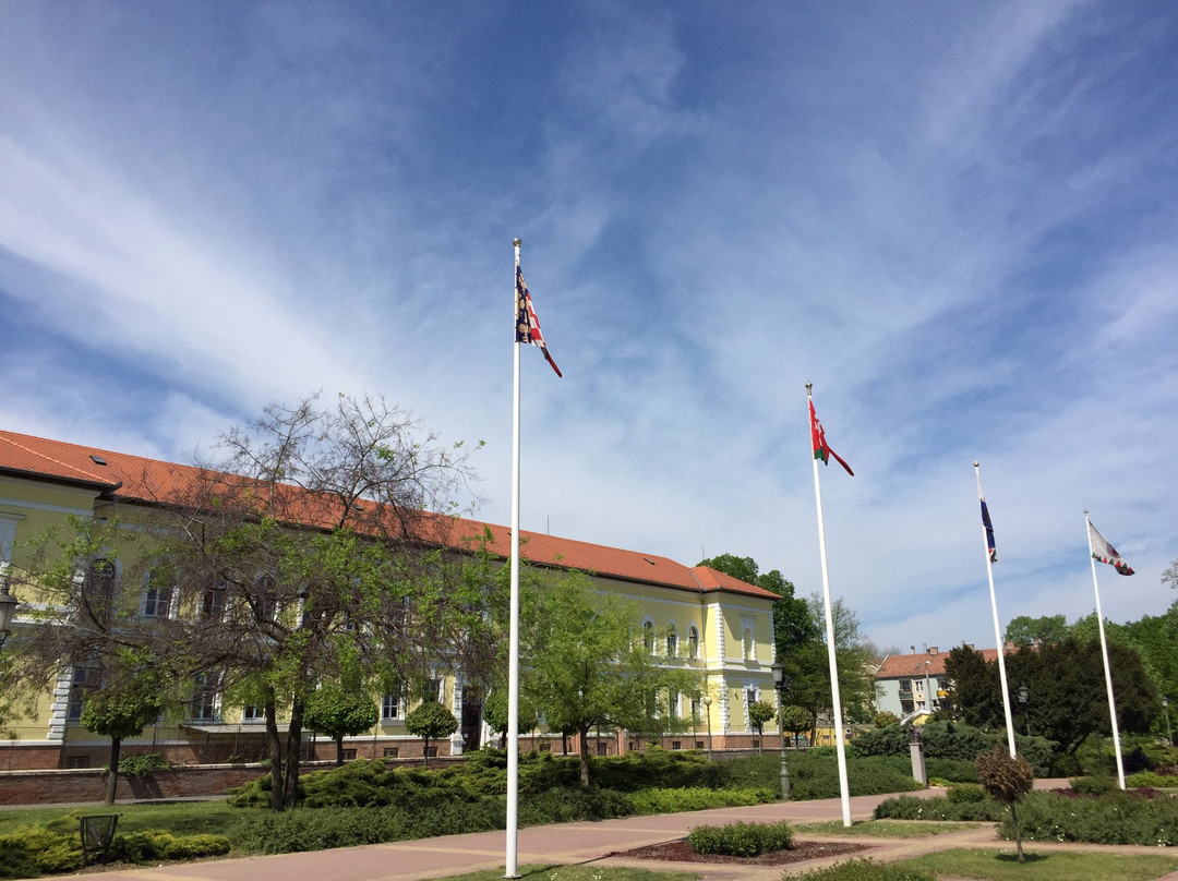 Szent Istvan Square-Hodmezovasarhely必去景点