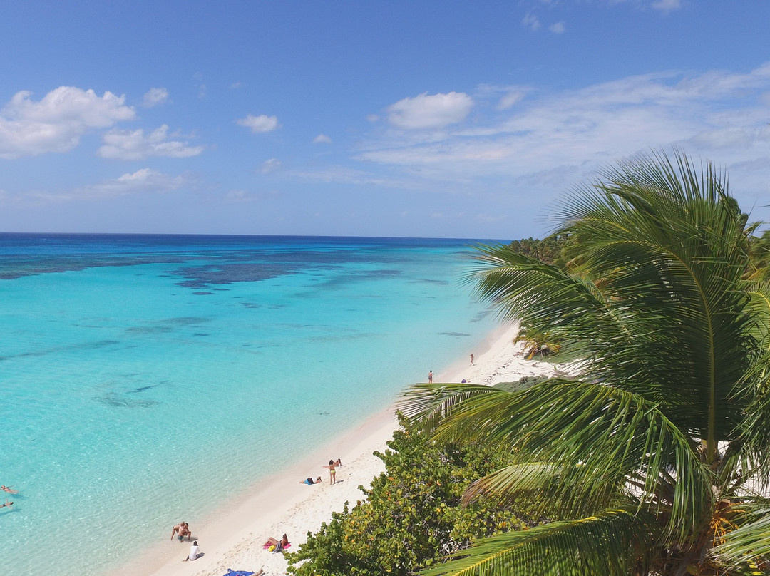 Sky Tours-拉罗马纳必去景点