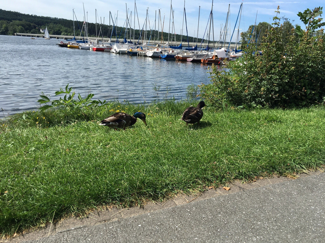 Möhneseeschifffahrt-Mohnesee必去景点