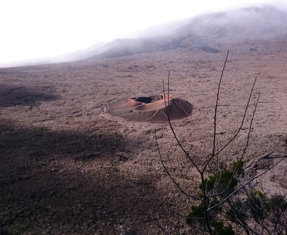 Reunion Volcan Evasion景点图片