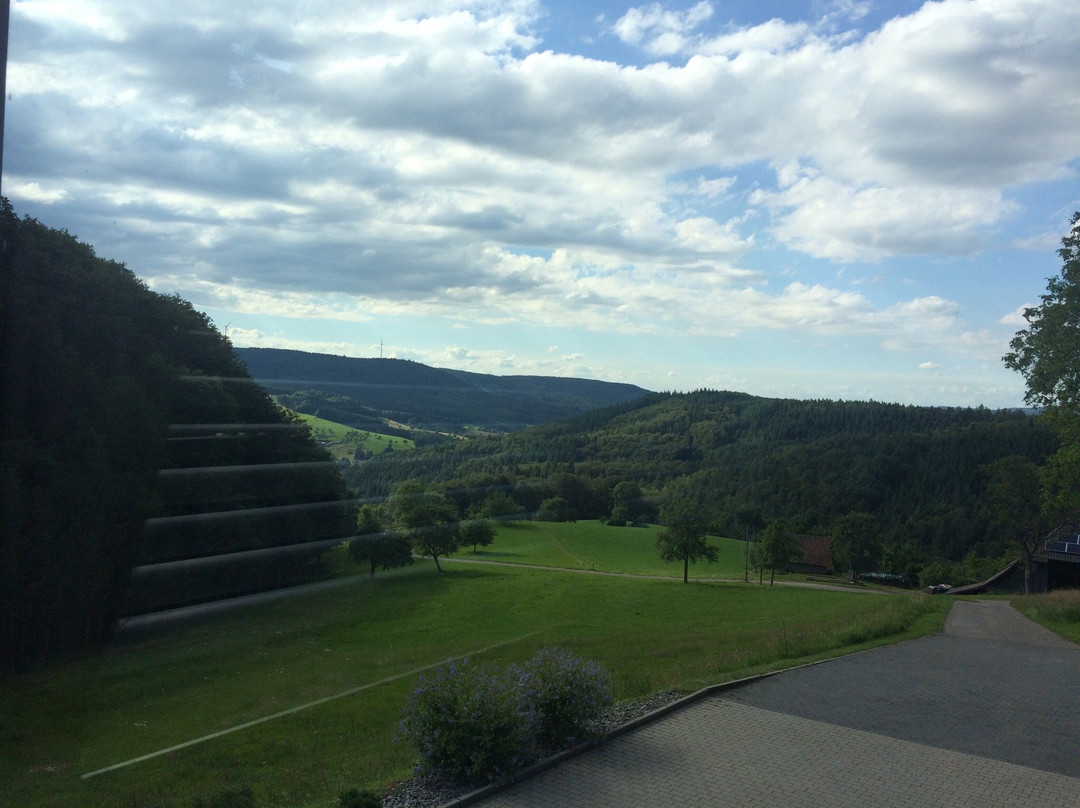 Schuttertal餐馆和美食-Lieberatsbergstube