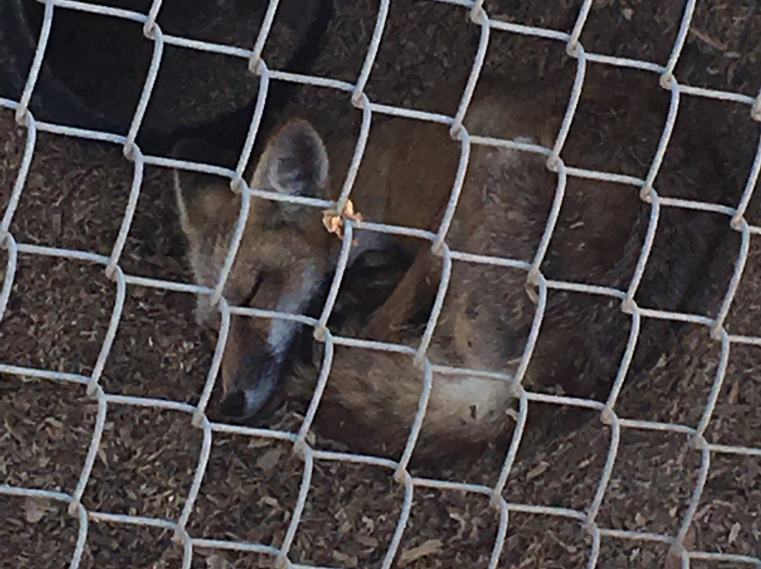 The Barry R. Kirshner Wildlife Foundation景点图片