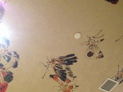 Gallery 2