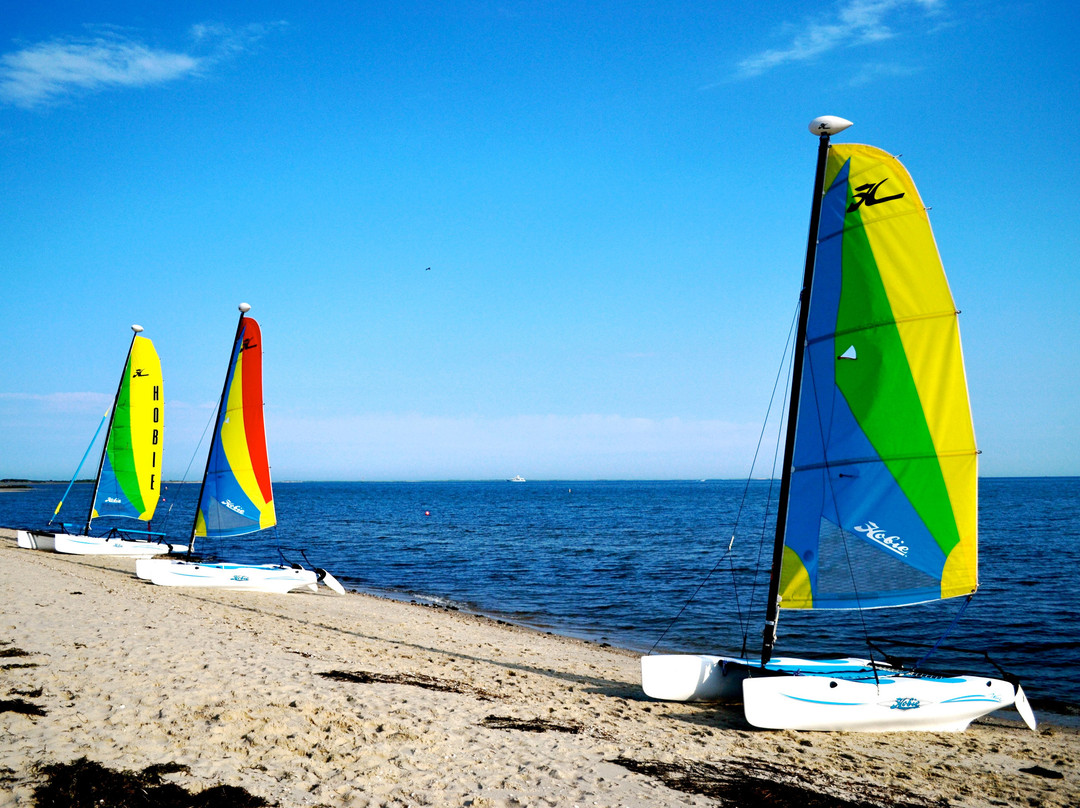 Chatham Sailboat Rentals景点图片