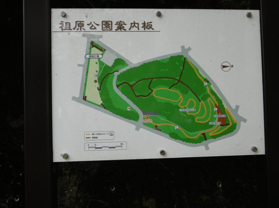 Sohara Park-福冈市必去景点