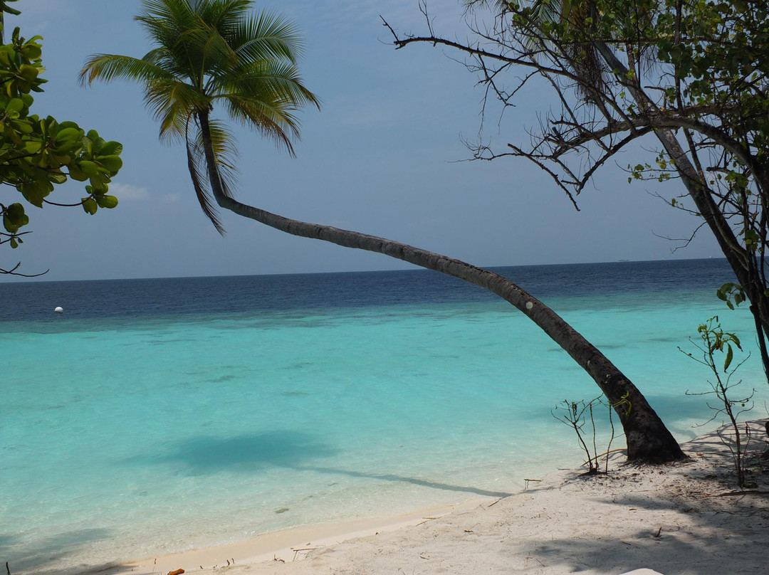 Thudufushi Island旅游攻略图片