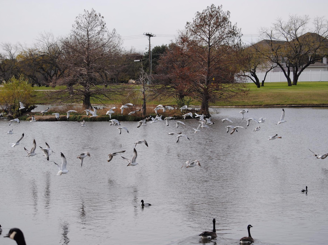 Northwest Park-欧文必去景点