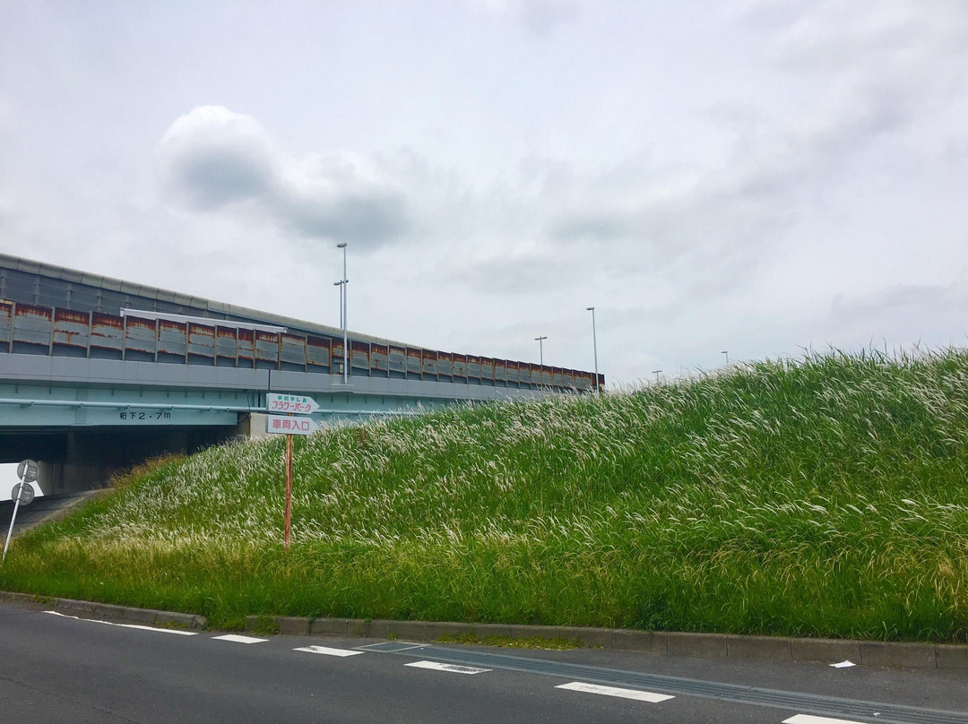 Nakagawa Yashio Flower Park-八潮市必去景点