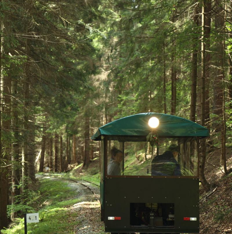 Historical Logging Switchback Railway-Nova Bystrica必去景点