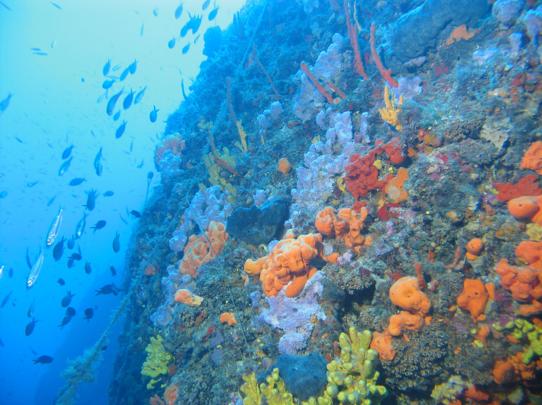 Easy Divers Rhodes-Charaki必去景点