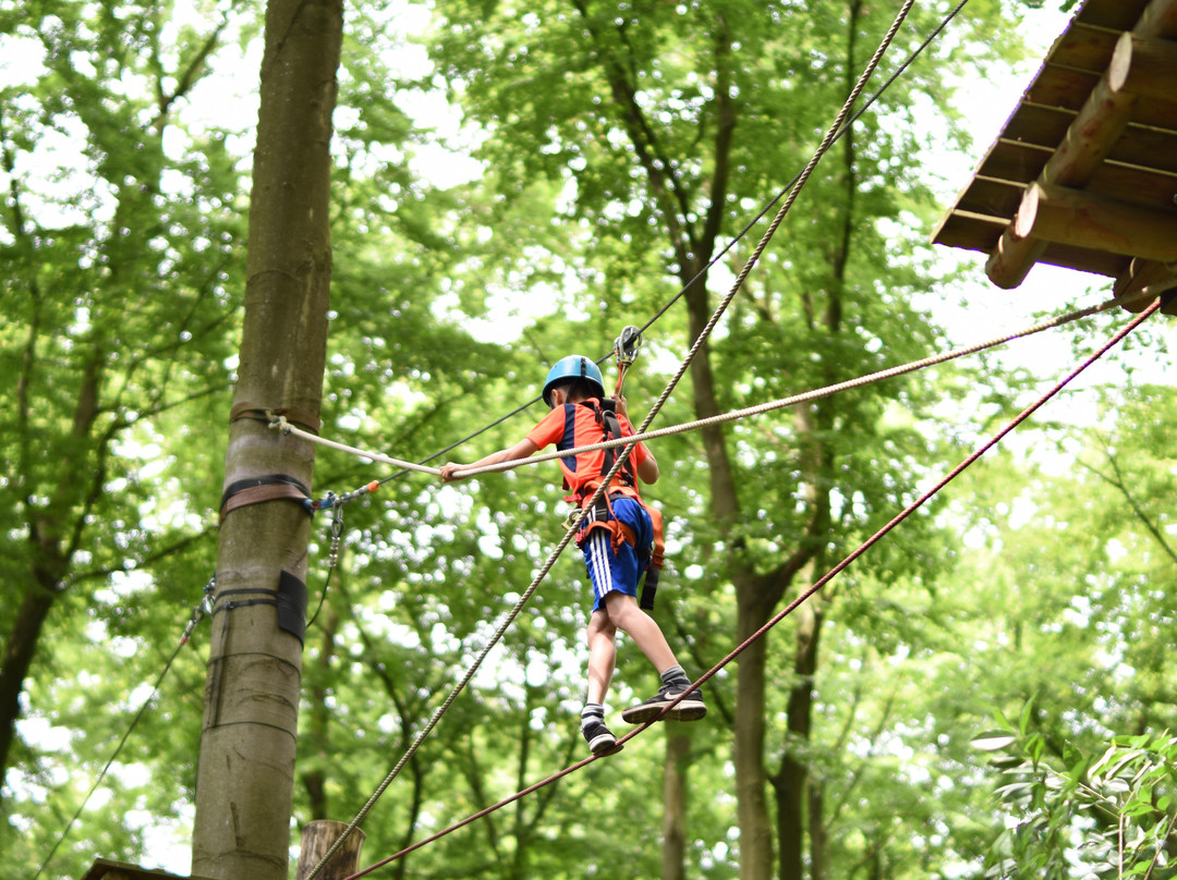 Kletterwald Haltern景点图片