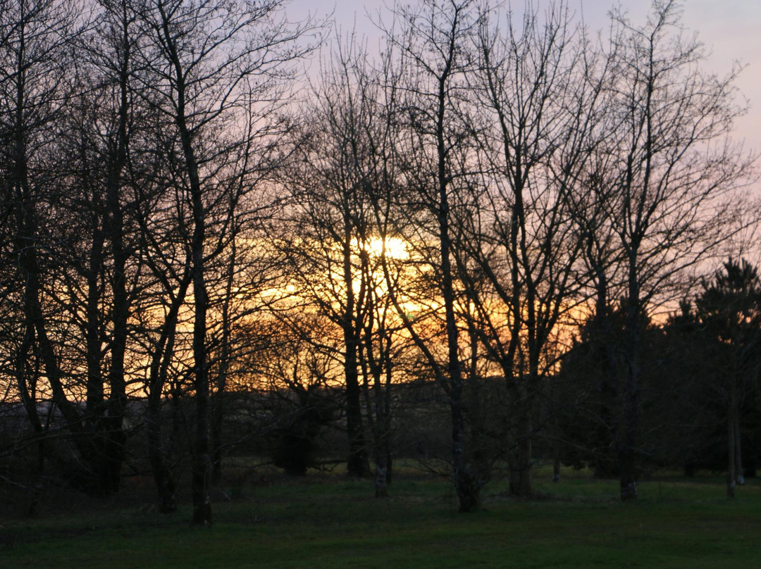 Holsworthy Golf Club-Holsworthy必去景点