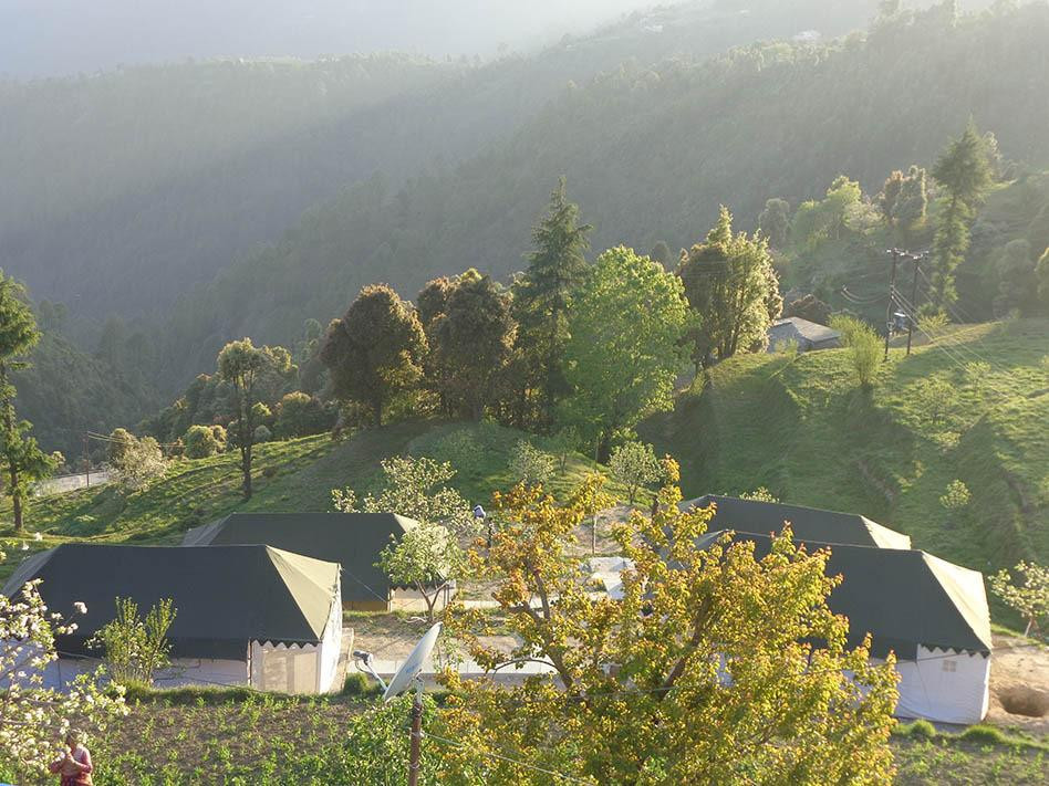 Jayshee Camp and Resorts