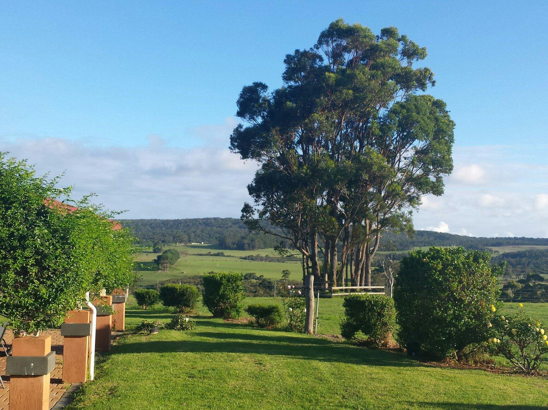 Valley of the Giants Bed and Breakfast主图