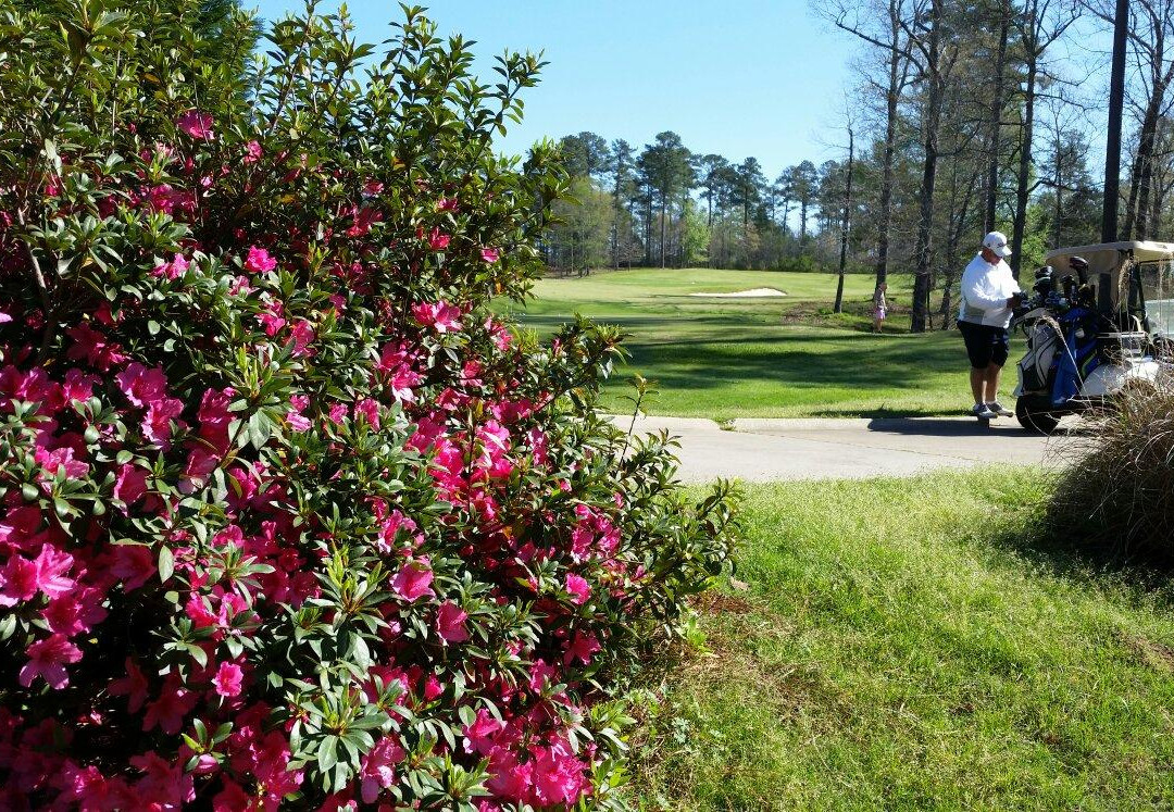 Dancing Rabbit Golf Club景点图片