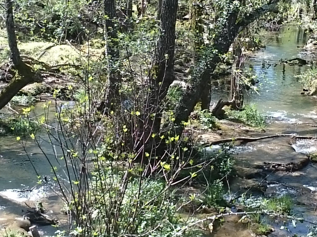 Cascadas del Hueznar景点图片