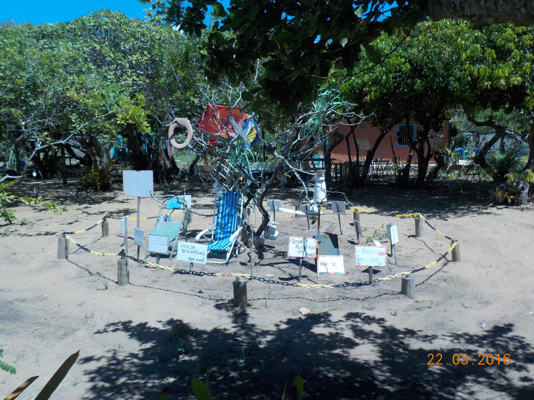 Pontal Do Ipiranga Beach景点图片