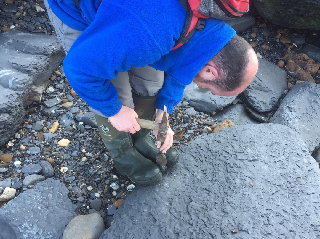 Hidden Horizons-斯卡伯勒必去景点