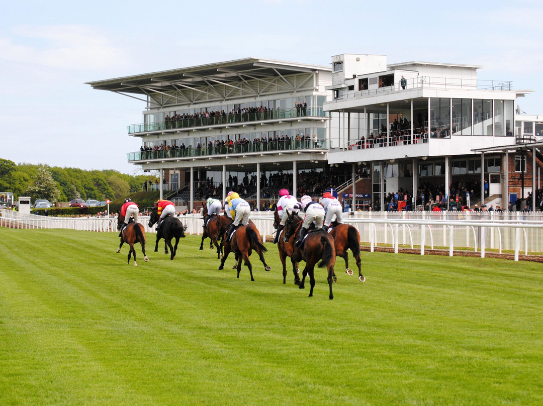 Wetherby Racecourse景点图片