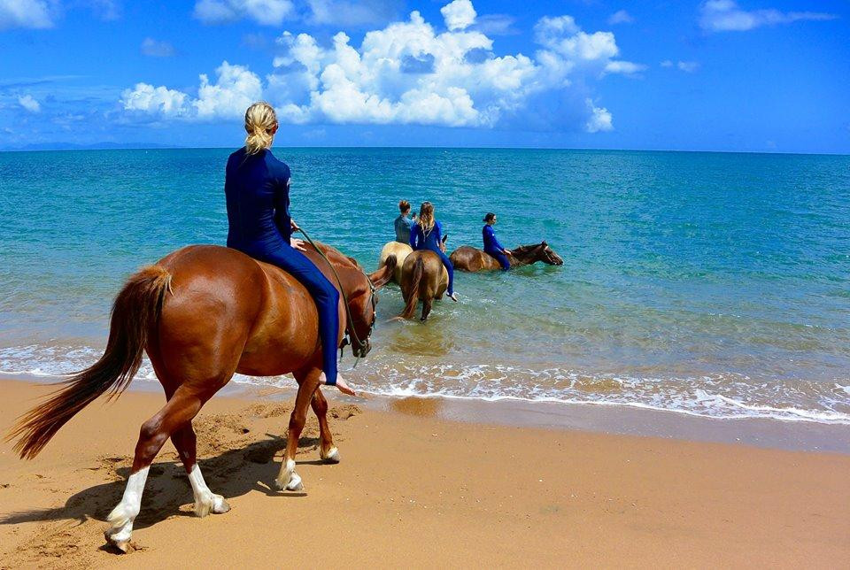 Horseshoe Bay Ranch-Horseshoe Bay必去景点