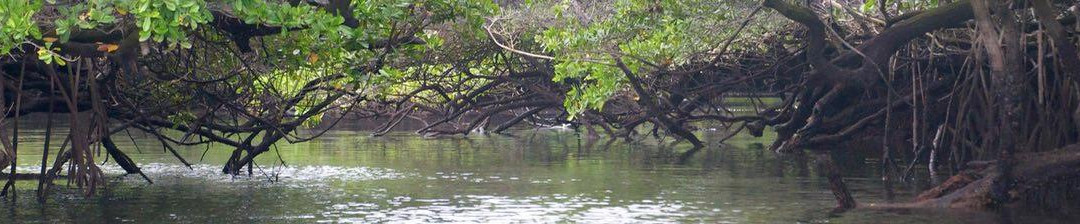 Black Turtle Cove景点图片