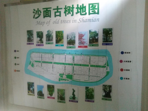 广州沙面展览馆-广州市必去景点