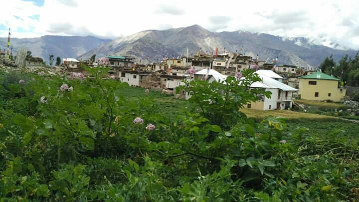 Reo Purguil Hotel主图