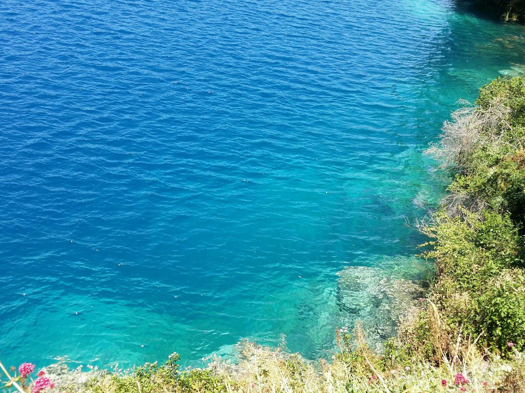 null-芒特甘比尔