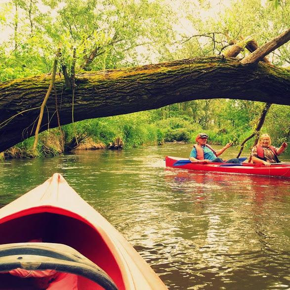Canoes na Ponidziu景点图片