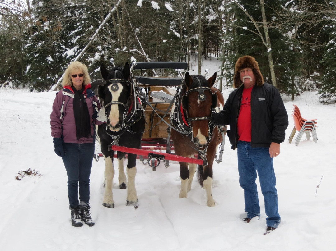 Willow Springs Garden-Wausau必去景点