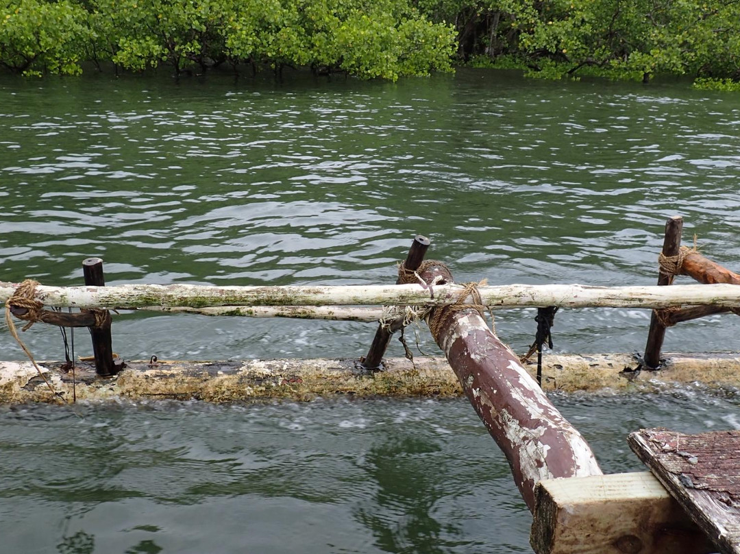 Utwe-Walung Marine Park景点图片