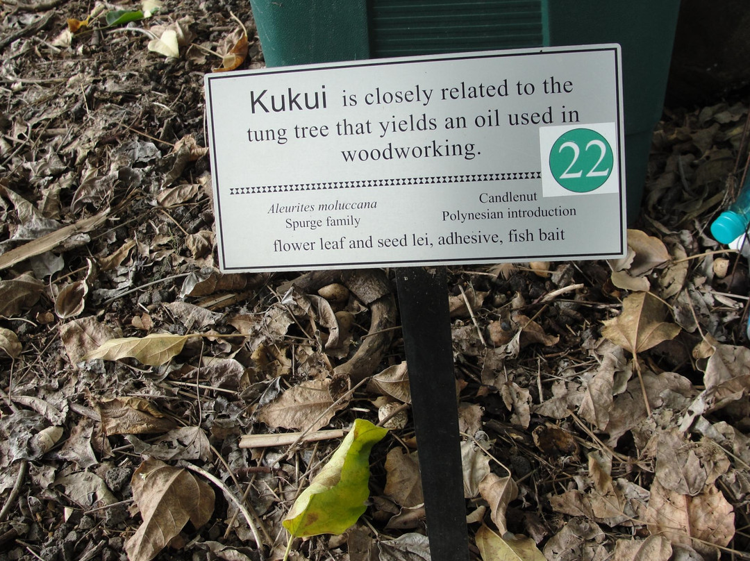 夏威夷热带植物园-库克船长必去景点