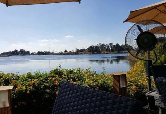 Fayed餐馆和美食-Cilantro