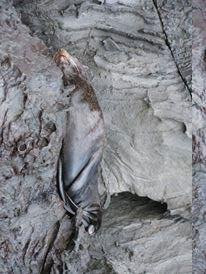 Galapagos For You-阿约拉港必去景点