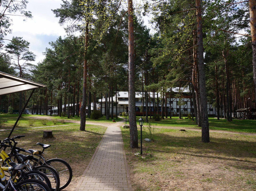 Best Eastern Pleskov Hotel主图