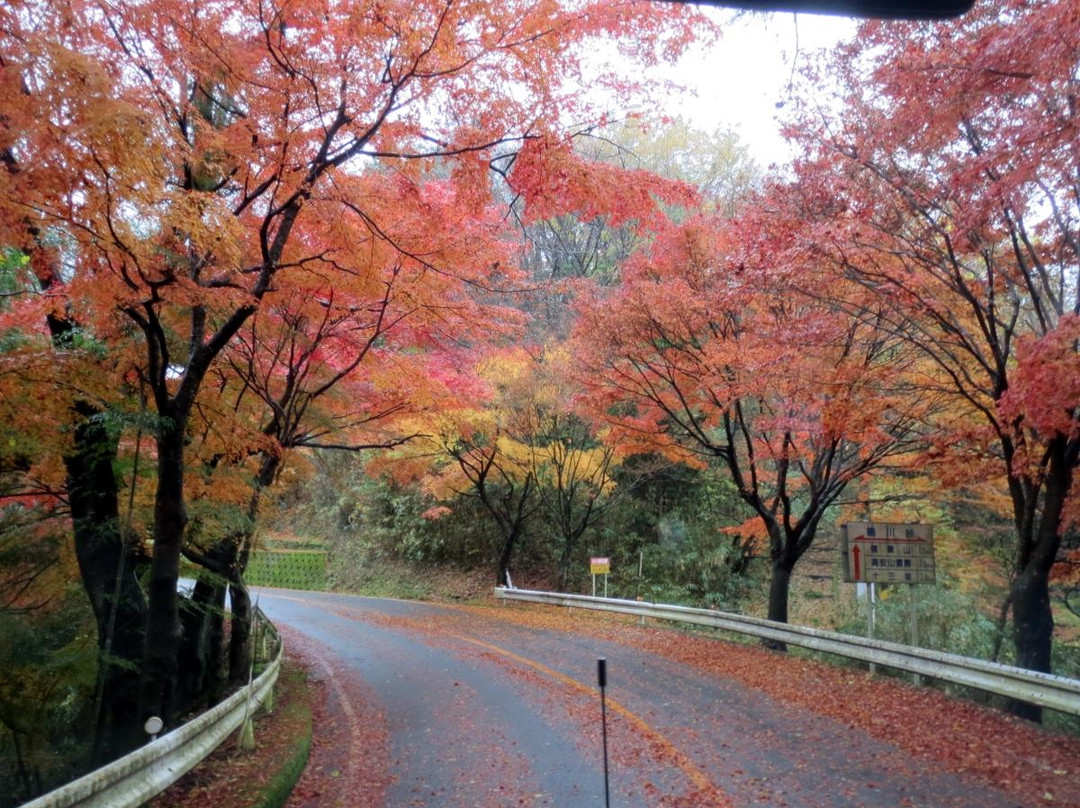 Shigi Ikoma Skyline景点图片