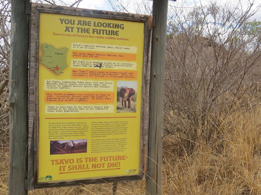 Roaring Rocks-西察沃国家公园必去景点