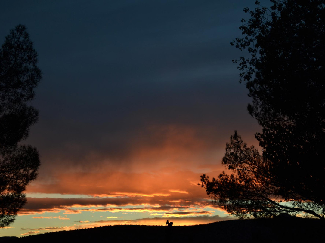 Beatty RV Park