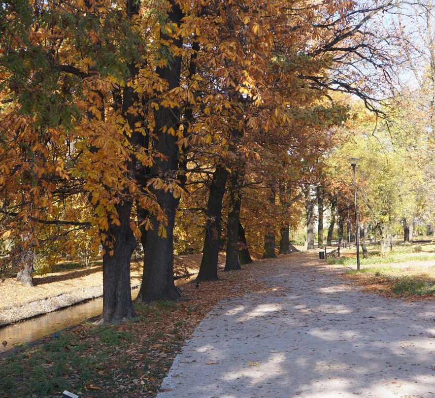 Juliusz Slowacki Park景点图片