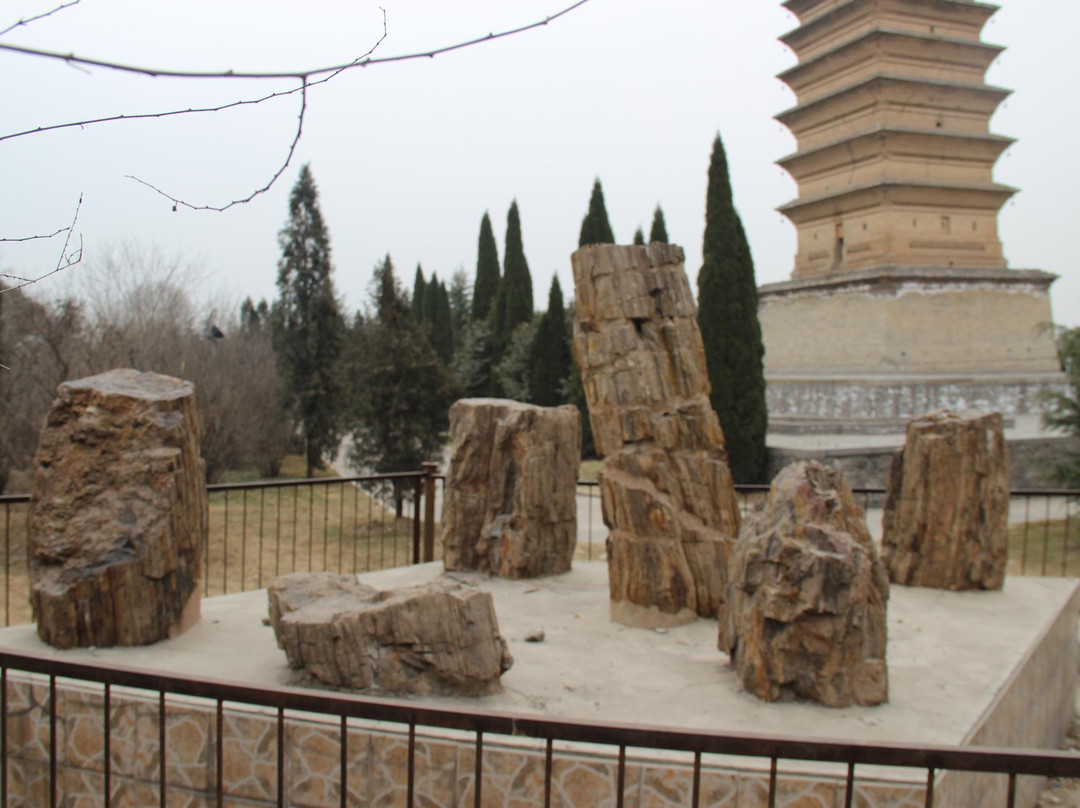 宝轮寺塔景点图片