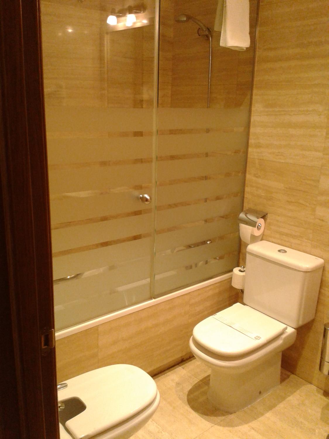 Hotel Los 5 Pinos-浴室