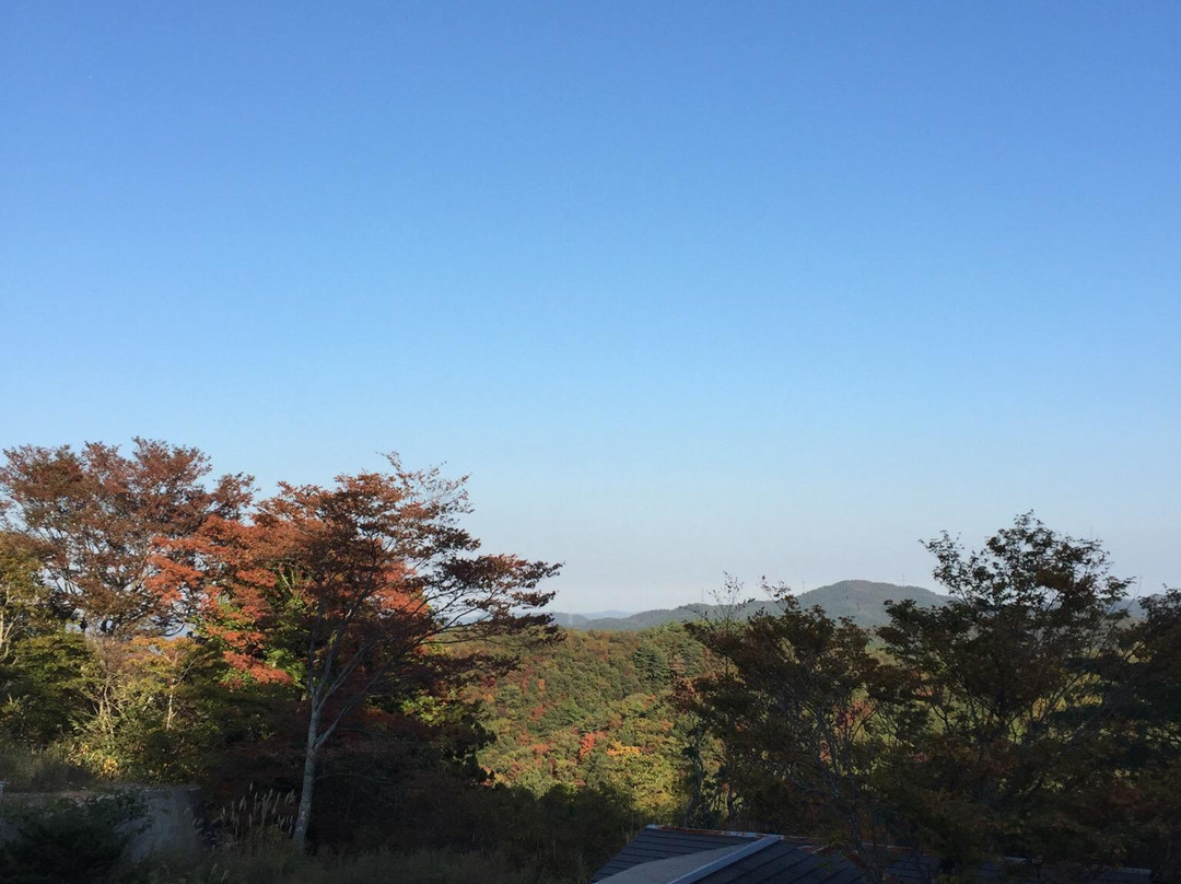 Wild Dog Run-川崎町必去景点