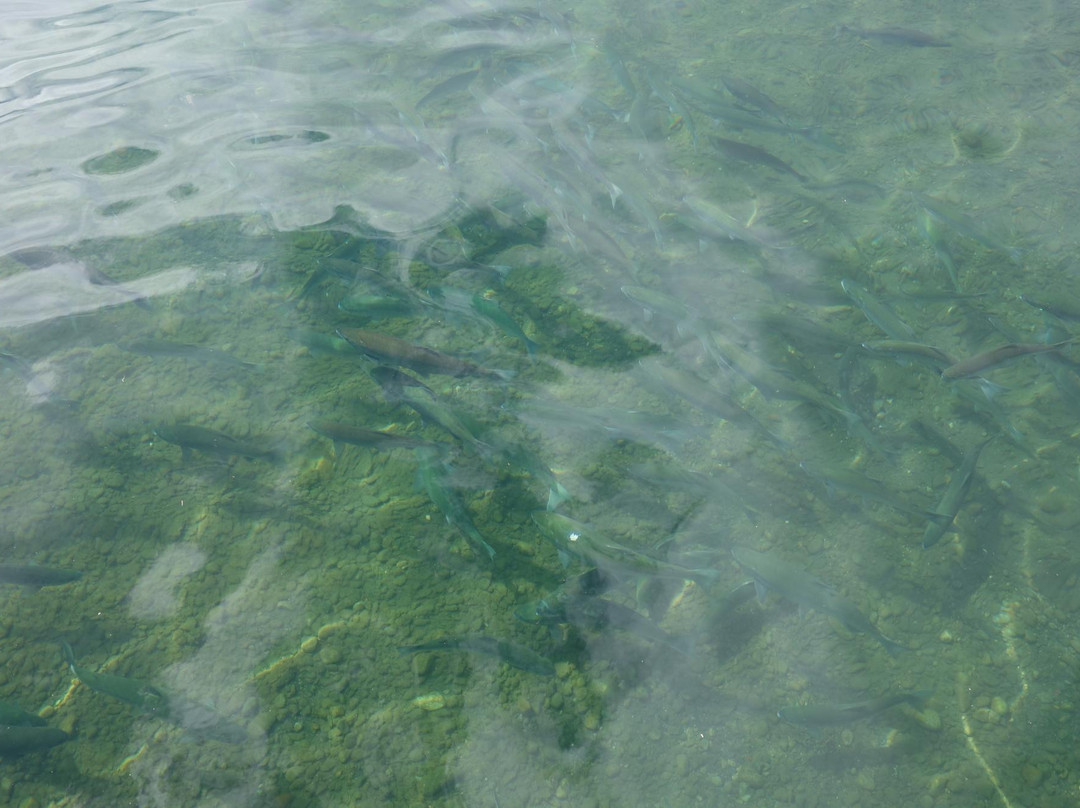 Naknek Lake-卡特迈国家公园及自然保护区必去景点