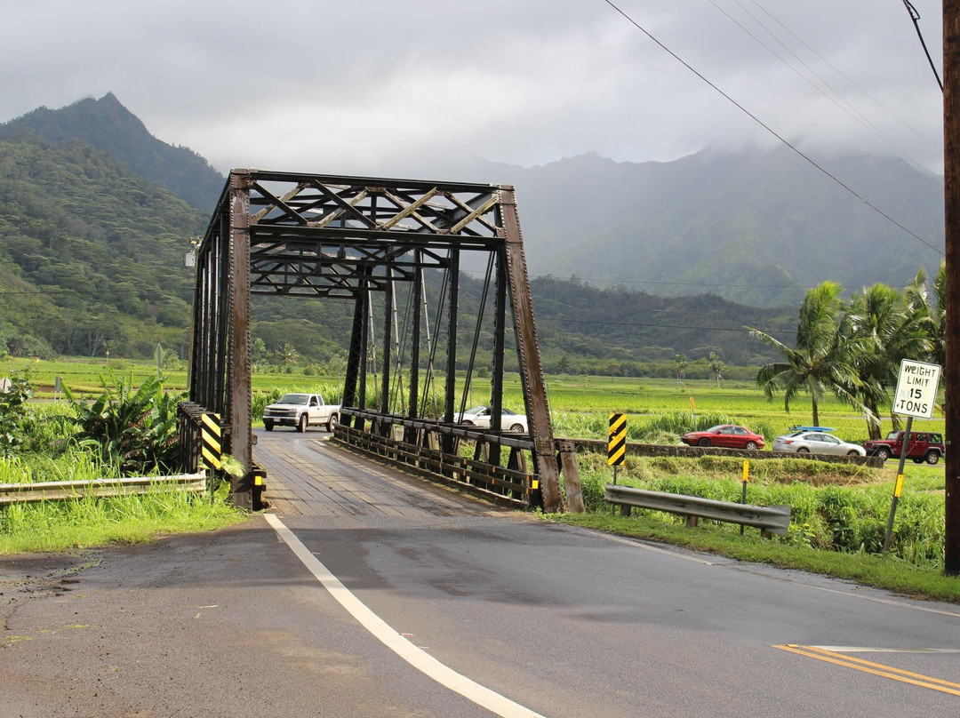 CG Bush Tennis-普林斯维尔必去景点